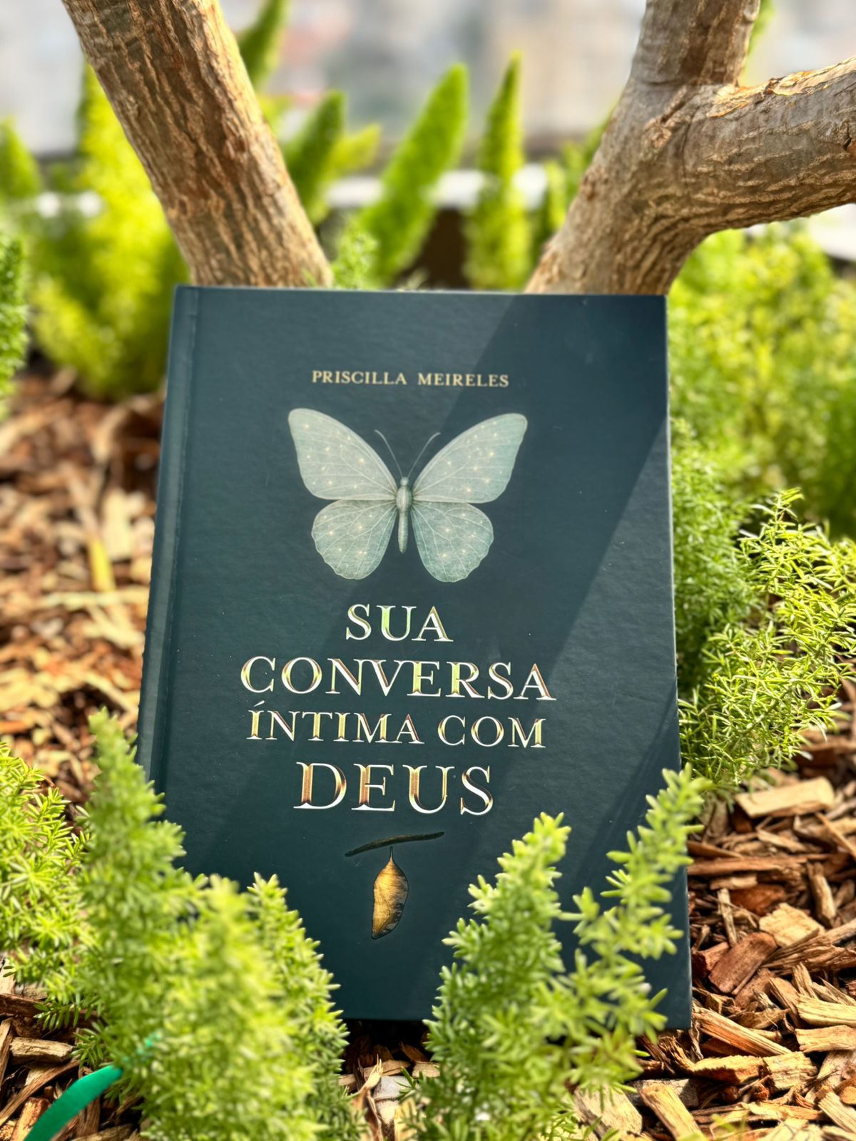 Capa do Livro
